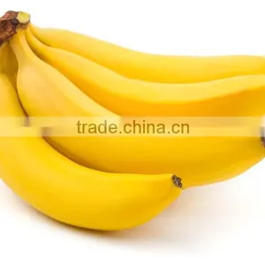 Bananas From Philippines thumbnail-1