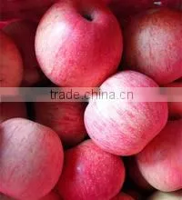 FRESH APPLES FRUITS thumbnail-6