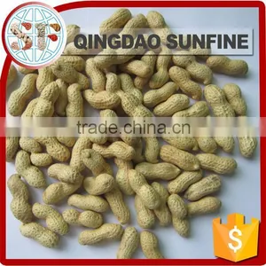 Red Skin Peeled Roasted Peanut in Shell thumbnail-2