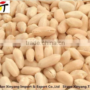 Wholesale Roasted Peanuts/roasted Peanuts Wholesale/peanuts Blanched thumbnail-1