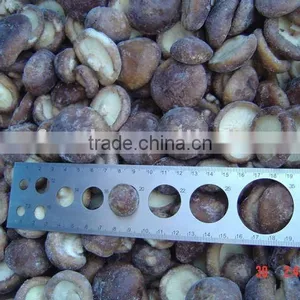 Supply Frozen Whole Shiitake thumbnail-1