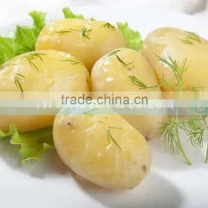 2016 Vegetable and Fruit Processing Line Sweet Potato Washing and Peeling Machine thumbnail-2