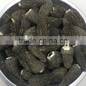 Chinese Dried Morels Mushroom thumbnail-1