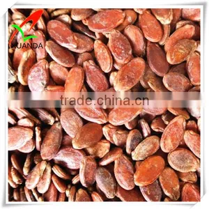 Red Watermelon Seeds by Factory Directly thumbnail-1