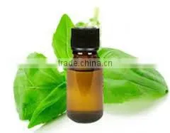 100% Natural & Pure Basil Oil / India's No. 1 Basil Oil / Basil Essential Oil thumbnail-2