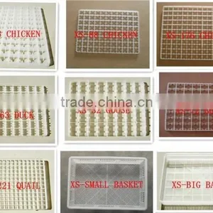 Advanced Full-automatic Egg Incubator,eggs Tray thumbnail-1