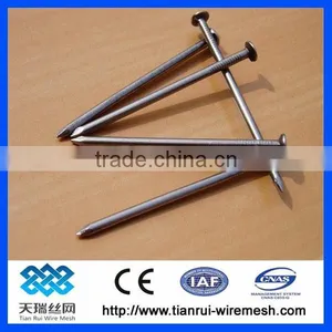 Common Wire Nail/polished Common Nail/bright Common Nail thumbnail-4