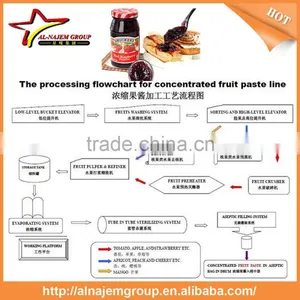 Automatic High Viscosity Liquid Filling System Raspberry Paste Making Production Line thumbnail-5