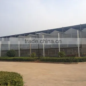 Raw Material Hollow Polycarbonate Sheet Greenhouse thumbnail-1