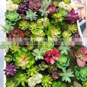 Indoor Decoration Artificial Mini Succulent Plants Wall thumbnail-3