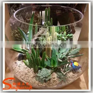 Factory Hot Sale Mini Ornamental Artificial Tropical Succulent Plants for Decoration thumbnail-1
