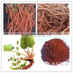Salvia Miltiorrhiza Root Extract/Dan-shen Extract/radix Salviae Mitirrhizae Extract thumbnail-1