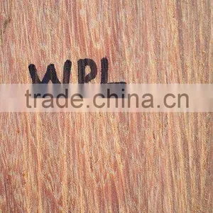 Suriname WPL / Witte Pinto Locus Log thumbnail-2