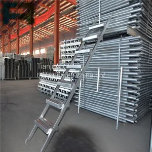 Scaffolding Ladder thumbnail-1