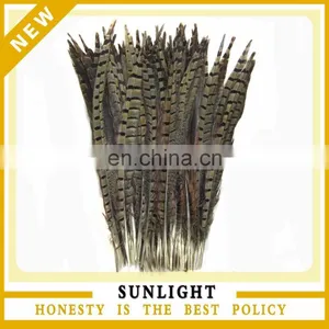 Pheasant Feather Factory Supply Natural Pheasant Feather for Carnival or Flower Decoration thumbnail-1