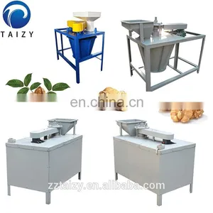 Wholesale Price Electric Automatic Black Walnut Cracker thumbnail-4