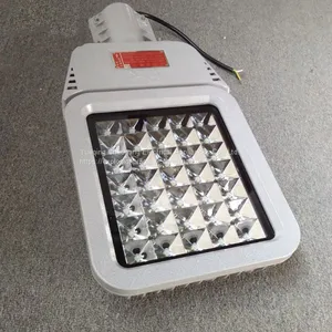 HRD9 Maintenance-free Explosion-proof LED Road Lamp High Efficiency Explosion-proof Street Lamp Pole thumbnail-4