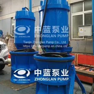 Pitshaft Axial- Flow Pump thumbnail-2