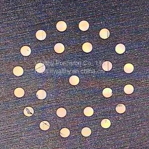 Blacked Stainless Steel Pinholes for Confocal System thumbnail-3