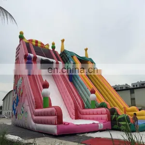 CE Durable Wahoo Kids Inflatable Water Slide for Children 's Happy Dream Games thumbnail-4