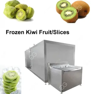 Flash Frozen Equipment/Freeze Cantaloupe Chunks thumbnail-3