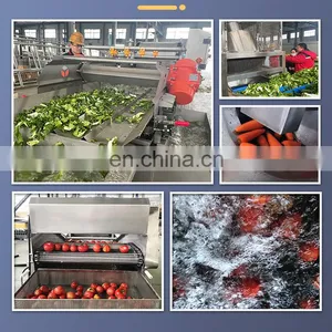 Industrial Vegetable Processing Line Salad Cutting Washing Dewatering Machine for Sale thumbnail-4