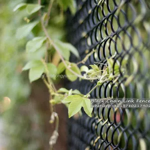 Chain Link Fence Chainlink Fence Chain-link Chainlinkfencing Security Fence Green Vinyl PVC Coated Commercial Fecne Industrial Fence Residential Fence thumbnail-3