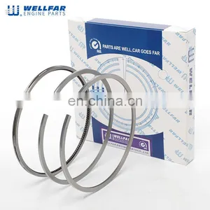 8976034231 Wellfar Heavy Duty Engine 4HK1 Piston Rings For Isuzu ELF 400/500 4HK1 thumbnail-1