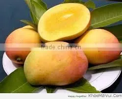 Fresh Mango/Delicous Fresh Mango/Sweet Fresh Mango thumbnail-2