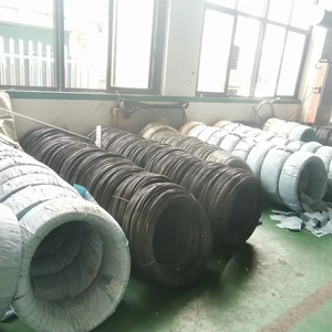 Ningbo Tian Yuan IMP.&EXP. Co., LTD. company overview - view 2 thumbnail