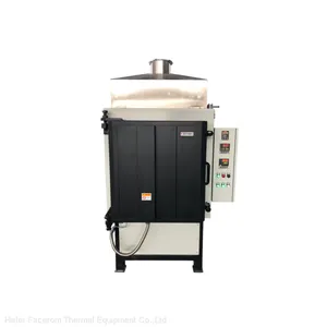 Facerom 1300℃ Debinding and Sintering Combi Chamber Furnace thumbnail-5