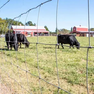 Australian Standard Galvanized Cattle Crush Panels for Livestock Handling Equipment thumbnail-2