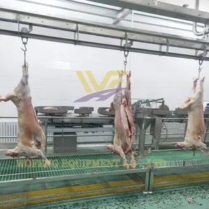HACCP Whole Sheep Slaughterhouse Machine Goat Abattoir Equipment Lamb Butcher Machine Mutton Processing Line Factory thumbnail-5