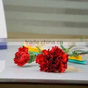 Cheap Mastor Multi-colored Fresh Cut Carnations thumbnail-4