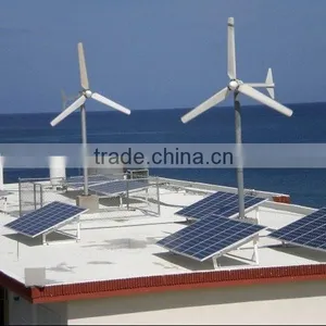 300w Wind Turbines Dynamo Generator Small Horizontal Axis Wind Power Plant for thumbnail-1