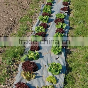 PP Agriculture Non-woven Crop Cover Wholesale thumbnail-4