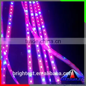 Shenzhen LED Grow Light Strip12V DC,Ws2812 5050 Led Strip Led Plant Grow Light Strip thumbnail-5