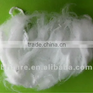 Staple Fiber thumbnail-1