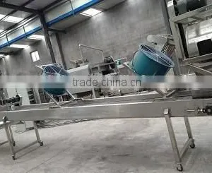 Auto Matic Fired Peanut Machine /roasted and Salted Peanut Machinary thumbnail-3