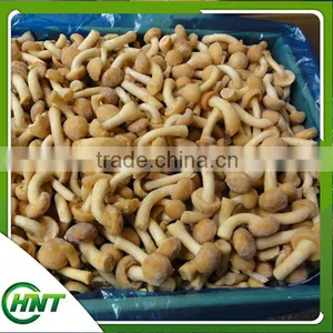 Iqf Frozen Nameko thumbnail-4