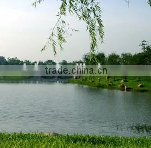 Fast and Cheap Dhl International Shipping Rates From China to USA thumbnail-5