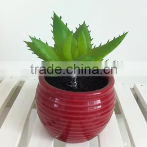 Beautiful Selling PP Material Simulation Succulents for Table Decoration thumbnail-4