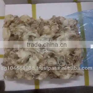 Frozen Cuttlefish Tentacles thumbnail-1