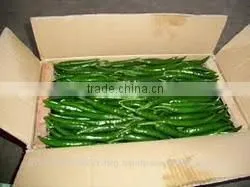 Indian Fresh Long,dark Green and Spicy Green Chilli Exporter thumbnail-6