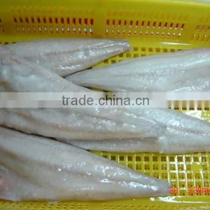 Light Salted Saithe Fillet thumbnail-1