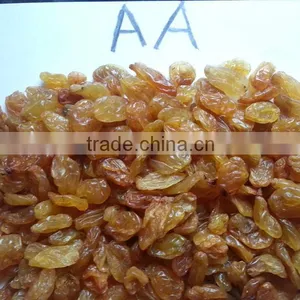 High Quality Golden Yellow Raisin From India thumbnail-1