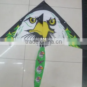 Kites thumbnail-1