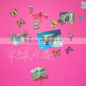 1L Eco-friendly Washable Magnetic Paint thumbnail-2