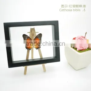FOUSEN(039) Nature& Art Natural Species Glass Frame Gift thumbnail-1