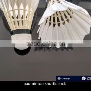 Badminton Shuttlecock Feather Shuttlecock Same Quality as Yangyang thumbnail-1